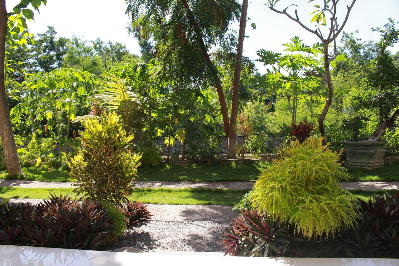 Taman Padi Villa Amed Exterior foto